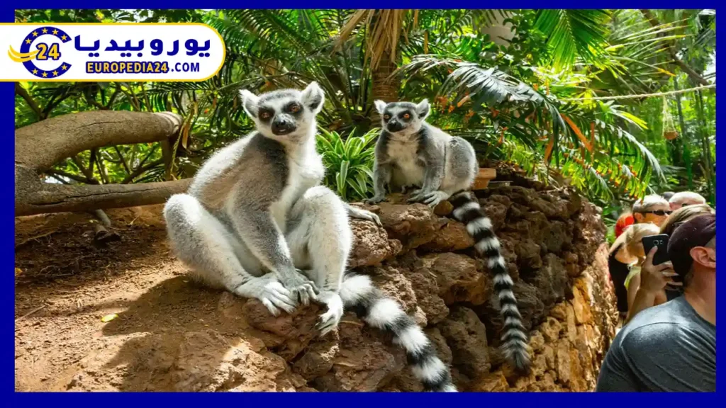 حديقة حيوان لاس باجانوساس في اشبيلية الوجهة المثالية للعائلات 2 حديقة-حيوان-لاس-باجانوساس