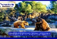 حديقة حيوان لاس باجانوساس في اشبيلية الوجهة المثالية للعائلات 72 حديقة-حيوان-لاس-باجانوساس-في-اشبيلية