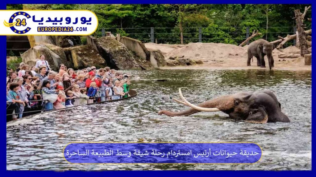 حديقة-حيوانات-أرتيس-امستردام