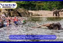 حديقة-حيوانات-أرتيس-امستردام