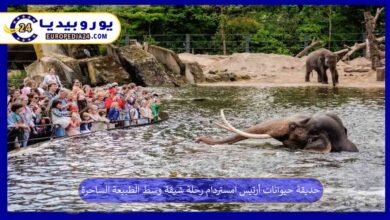 حديقة حيوانات أرتيس امستردام رحلة شيقة وسط الطبيعة الساحرة 4 حديقة-حيوانات-أرتيس-امستردام