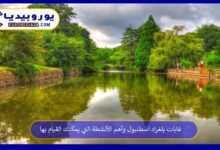 غابات بلغراد اسطنبول وأهم الأنشطة التي يمكنك القيام بها 102 غابات-بلغراد-اسطنبول