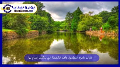 غابات بلغراد اسطنبول وأهم الأنشطة التي يمكنك القيام بها 3 غابات-بلغراد-اسطنبول