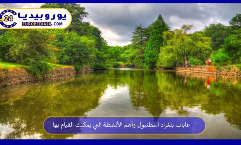 غابات بلغراد اسطنبول وأهم الأنشطة التي يمكنك القيام بها 95 غابات-بلغراد-اسطنبول
