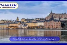 فيزا-البحث-عن-عمل-في-السويد