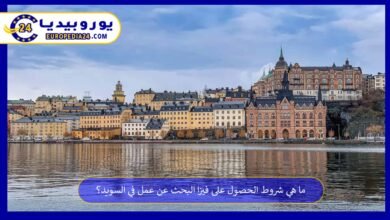 فيزا-البحث-عن-عمل-في-السويد