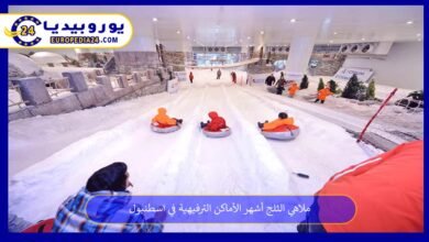 ملاهي-الثلج