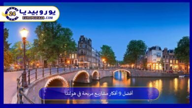 أفضل 9 أفكار مشاريع مربحة في هولندا 6 أفكار-مشاريع-مربحة-في-هولندا