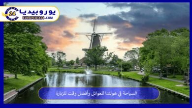 السياحة في هولندا للعوائل وأفضل وقت للزيارة 26 السياحة-في-هولندا-للعوائل