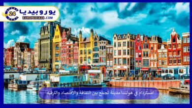 امستردام في هولندا مدينة تجمع بين الثقافة والاقتصاد والترفيه 15 امستردام-في-هولندا