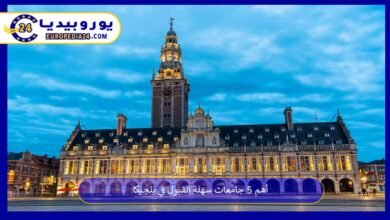 أهم 5 جامعات سهلة القبول في بلجيكا 4 جامعات-سهلة-القبول-في-بلجيكا