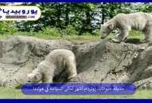 حديقة-حيوانات-روتردام