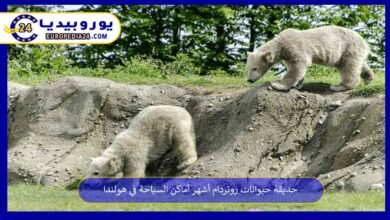 حديقة حيوانات روتردام أشهر أماكن السياحة في هولندا 3 حديقة-حيوانات-روتردام