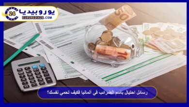 Tax Scam Messages in Germany: How to Protect Yourself 31 Tax Scam Messages in Germany