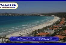 شاطئ بيرلانتا رحلة ساحرة وسط الطبيعة الخلابة 83 شاطئ-بيرلانتا