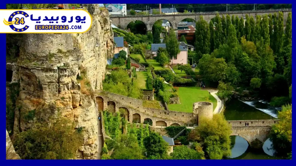 مدينة-فياندين