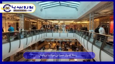 رحلة تسوق مميزة في مولات بروكسل 16 مولات-بروكسل