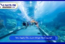 أكواريوم حديقة حيوانات مدريد رحلة ترفيهية رائعة 50 أكواريوم-حديقة-حيوانات-مدريد