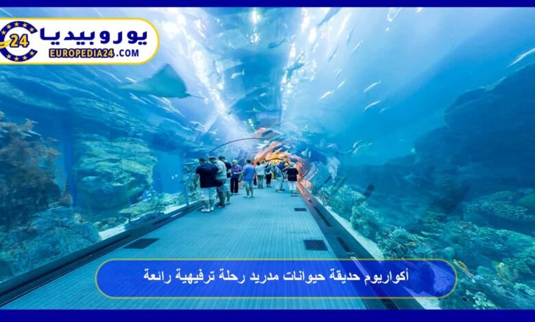 أكواريوم حديقة حيوانات مدريد رحلة ترفيهية رائعة 45 أكواريوم-حديقة-حيوانات-مدريد