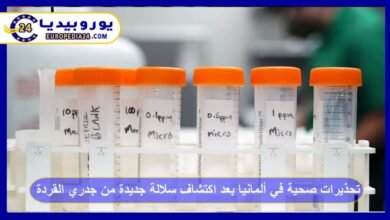 تحذيرات صحية في ألمانيا بعد اكتشاف سلالة جديدة من جدري القردة 2 اكتشاف-سلالة-جديدة-من-جدري-القردة-في-ألمانيا