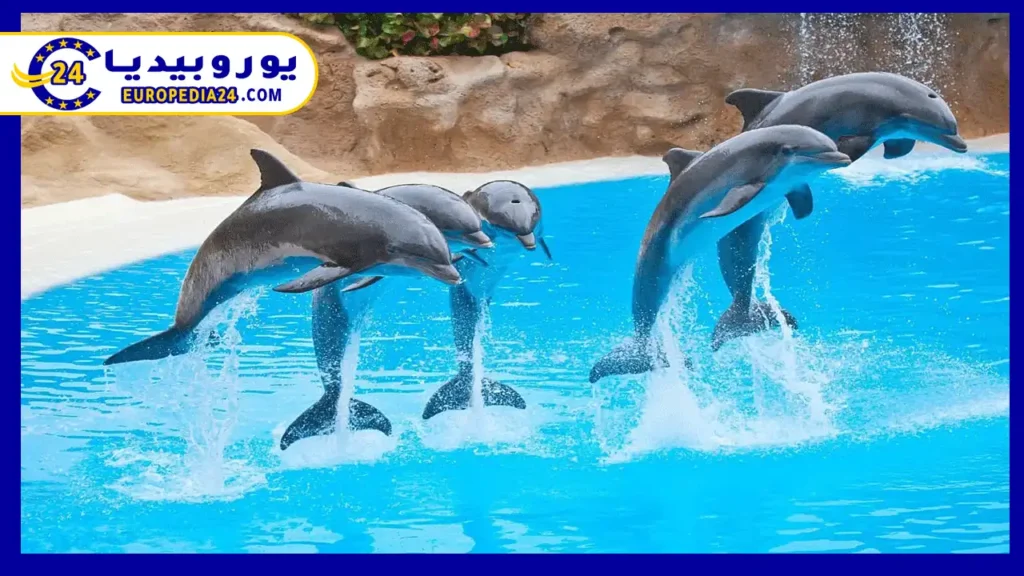 Madrid Zoo Aquarium: A Wonderful Recreational Experience 2 Madrid Zoo