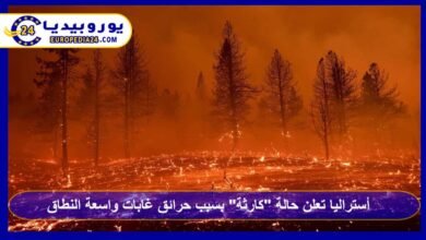 أستراليا تعلن حالة "كارثة" بسبب حرائق غابات واسعة النطاق 2 حرائق-الغابات-في-أستراليا