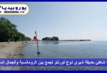 رحلة شاطئ حديقة شيري دوج تورنتو تجمع بين الرومانسية والجمال الساحر 9 شاطئ-حديقة-شيري-دوج-تورنتو