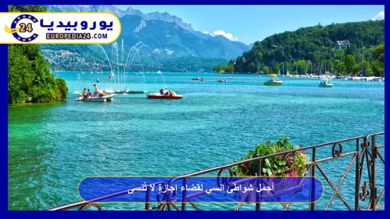 أجمل شواطئ انسي لقضاء إجازة لا تُنسى | يوروبيديا 24