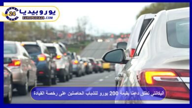 أليكانتي تطلق دعمًا بقيمة 200 يورو للشباب الحاصلين على رخصة القيادة 1 أليكانتي-تطلق-دعمًا-بقيمة-200-يورو-للشباب-الحاصلين-على-رخصة-القيادة