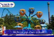 Top 5 Entertainment Spots in Toronto for a Fun Experience 12 Entertainment Spots in Toronto