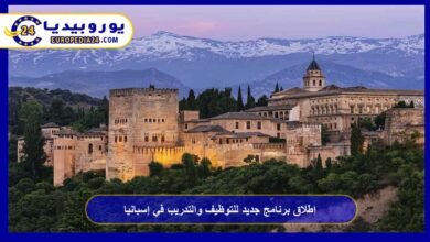 إطلاق برنامج جديد للتوظيف والتدريب في إسبانيا 2 إطلاق-برنامج-جديد-للتوظيف-والتدريب-في-إسبانيا