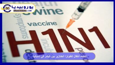 اشتباه انتقال إنفلونزا الخنازير بين البشر في إسبانيا 3 اشتباه-انتقال-إنفلونزا-الخنازير-بين-البشر-في-إسبانيا