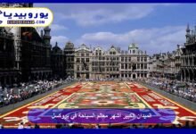 Grand Place, the Most Famous Tourist Attraction in Brussels 17 Grand Place