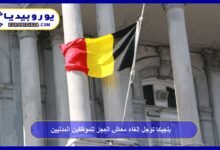 Belgium Postpones Abolition of Disability Pension for Civil Servants 5 Belgium Postpones Abolition of Disability Pension for Civil Servants