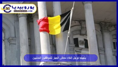 بلجيكا تؤجل إلغاء معاش العجز للموظفين المدنيين 3 بلجيكا-تؤجل-إلغاء-معاش-العجز-للموظفين-المدنيين