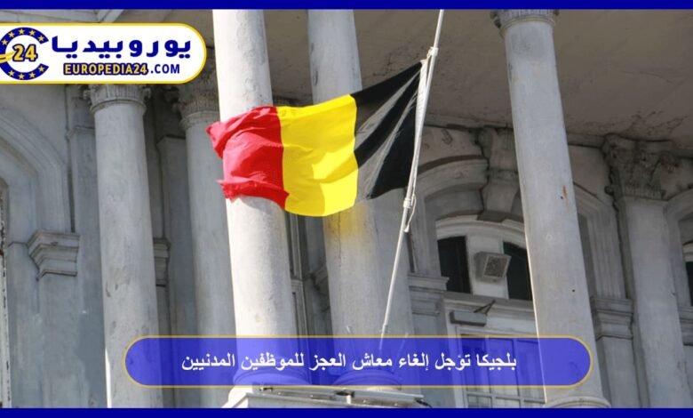 Belgium Postpones Abolition of Disability Pension for Civil Servants 37 Belgium Postpones Abolition of Disability Pension for Civil Servants