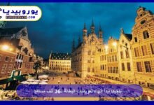 Belgium Begins Ending Unemployment Benefits for 36,000 Recipients 13 Belgium Begins Ending Unemployment Benefits for 36,000 Recipients