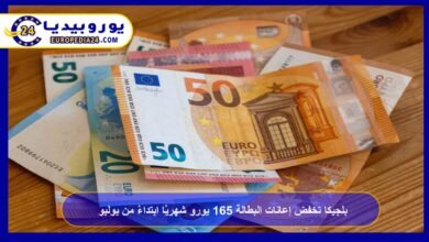 Belgium to Cut Unemployment Benefits by €165 per Month Starting July 7 Belgium Cuts Unemployment Benefits by €165 per Month Starting July