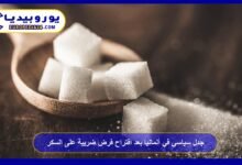 Political Debate in Germany After Sugar Tax Proposal 18 Political Debate in Germany After Proposed Sugar Tax