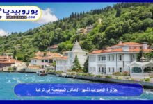 جزيرة الأميرات أشهر الأماكن السياحية في تركيا 81 جزيرة-الأميرات