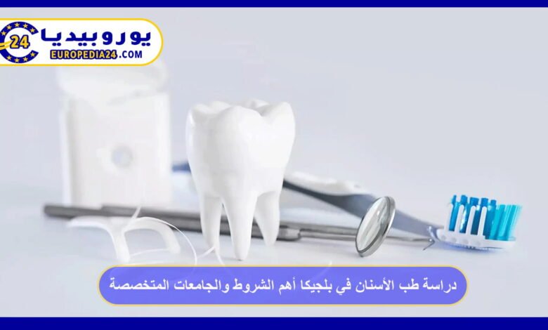 Study Dentistry in Belgium: Key Requirements and Specialized Universities 41 Study Dentistry in Belgium