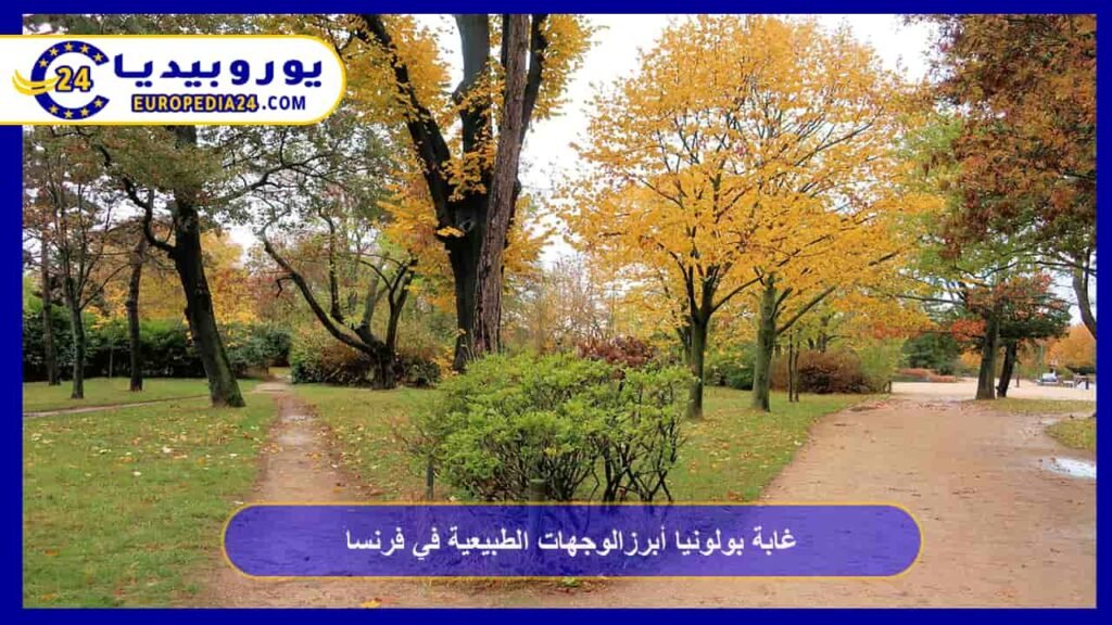 غابة بولونيا أبرز الوجهات الطبيعية في فرنسا 1 غابة-بولونيا