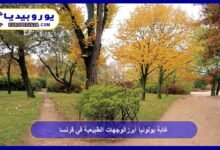 Bois de Boulogne: One of the top natural destinations in France 12 Bois de Boulogne