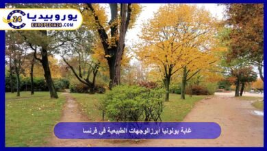 غابة بولونيا أبرز الوجهات الطبيعية في فرنسا 4 غابة-بولونيا