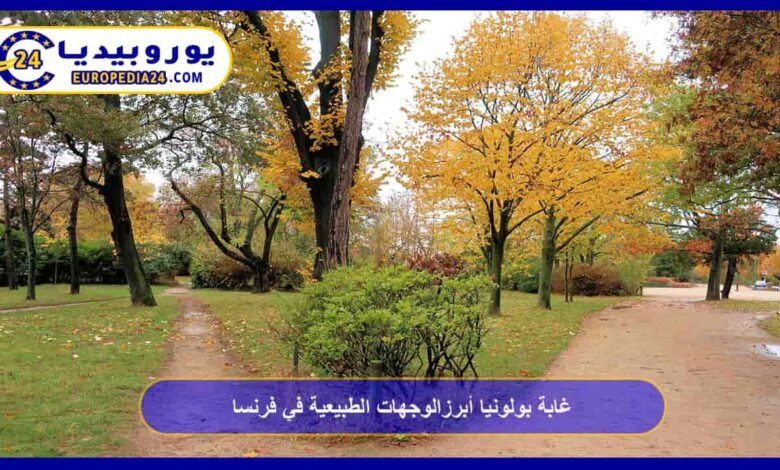 Bois de Boulogne: One of the top natural destinations in France 41 Bois de Boulogne