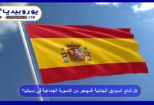 Do Criminal Records Prevent Migrants from Participating in Spain’s Regularization Program? 12 Do Criminal Records Prevent Migrants from Participating in Spain’s Regularization Program?