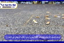 Germany Imposes Fines Up to €250 for Littering Cigarette Butts 11 Germany Imposes Fines Up to €250 for Littering Cigarette Butts