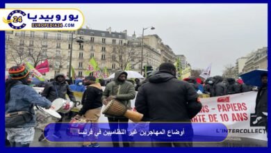 The Situation of Undocumented Migrants in France 6 Undocumented Migrants in France