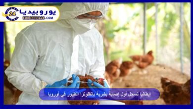 إيطاليا تسجل أول إصابة بشرية بإنفلونزا الطيور H9N2 في أوروبا 2 إيطاليا-تسجل-أول-إصابة-بشرية-بإنفلونزا-الطيور-H9N2-في-أوروبا