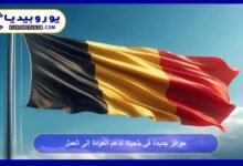 New Incentives in Belgium to Support Return to Work 11 New Incentives in Belgium to Support Return to Work